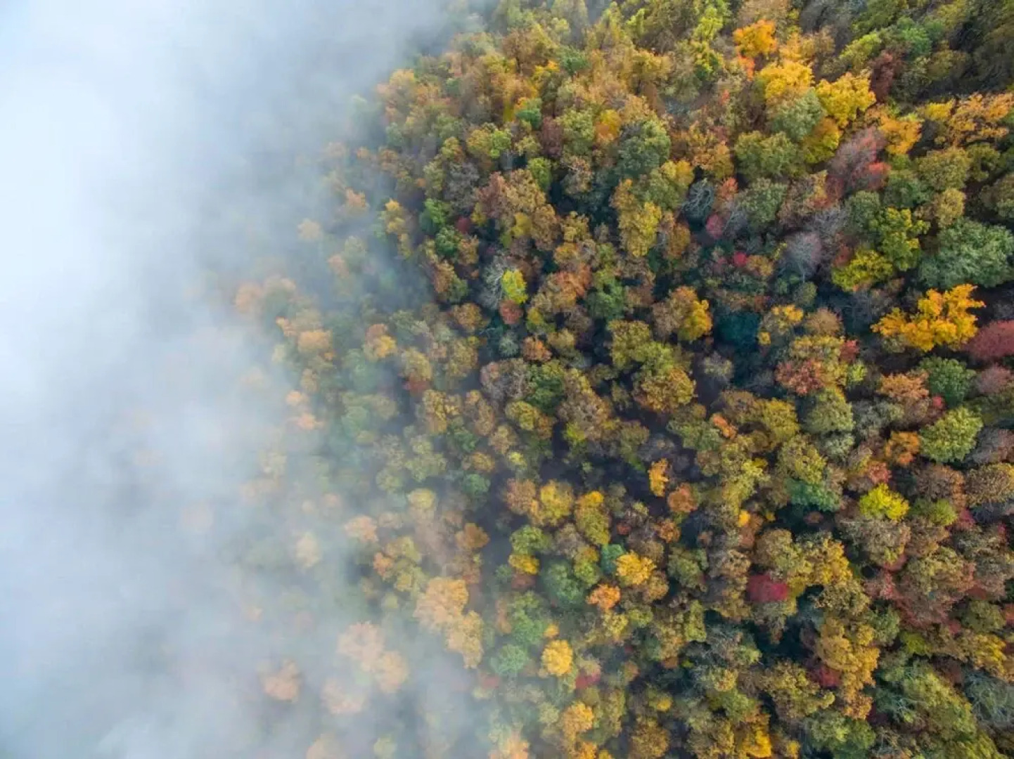 Rejuvenate in the Mtns w Sauna 5 min Drive to DT