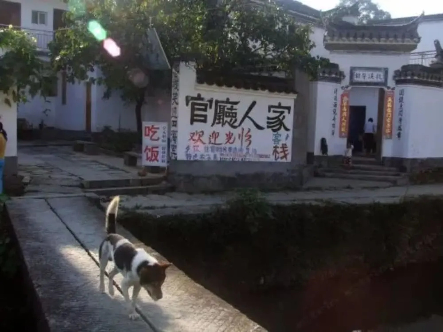 Wuyuan Qingyuan Guanting Guest House