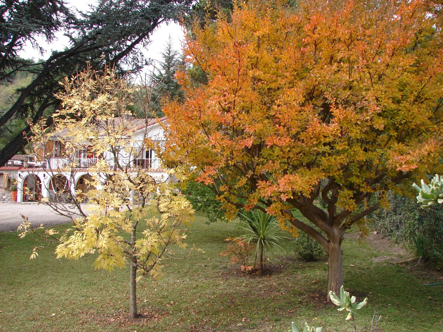 Summit Posada Boutique