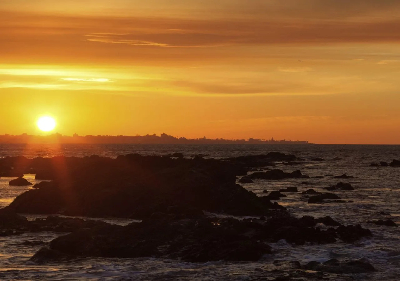 Sofitel Montevideo Casino Carrasco and Spa