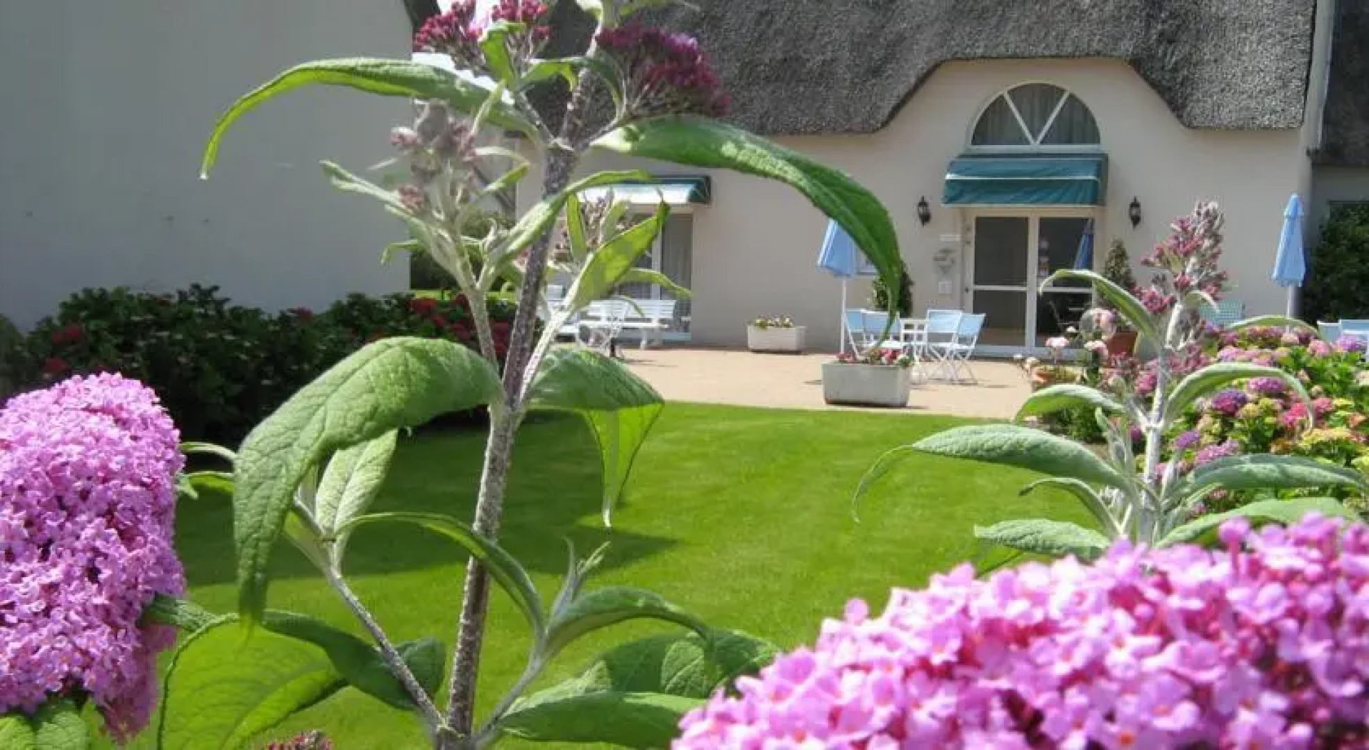 Logis Hôtel Les Chaumières Du Lac Rest. Les Typhas