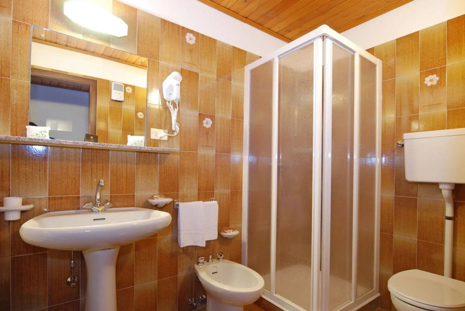 Sport Hotel Pampeago