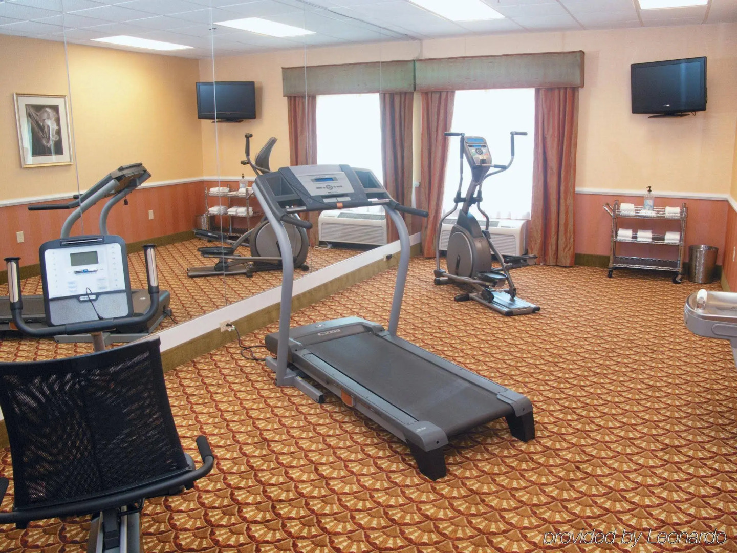 Spark by Hilton Kingsland