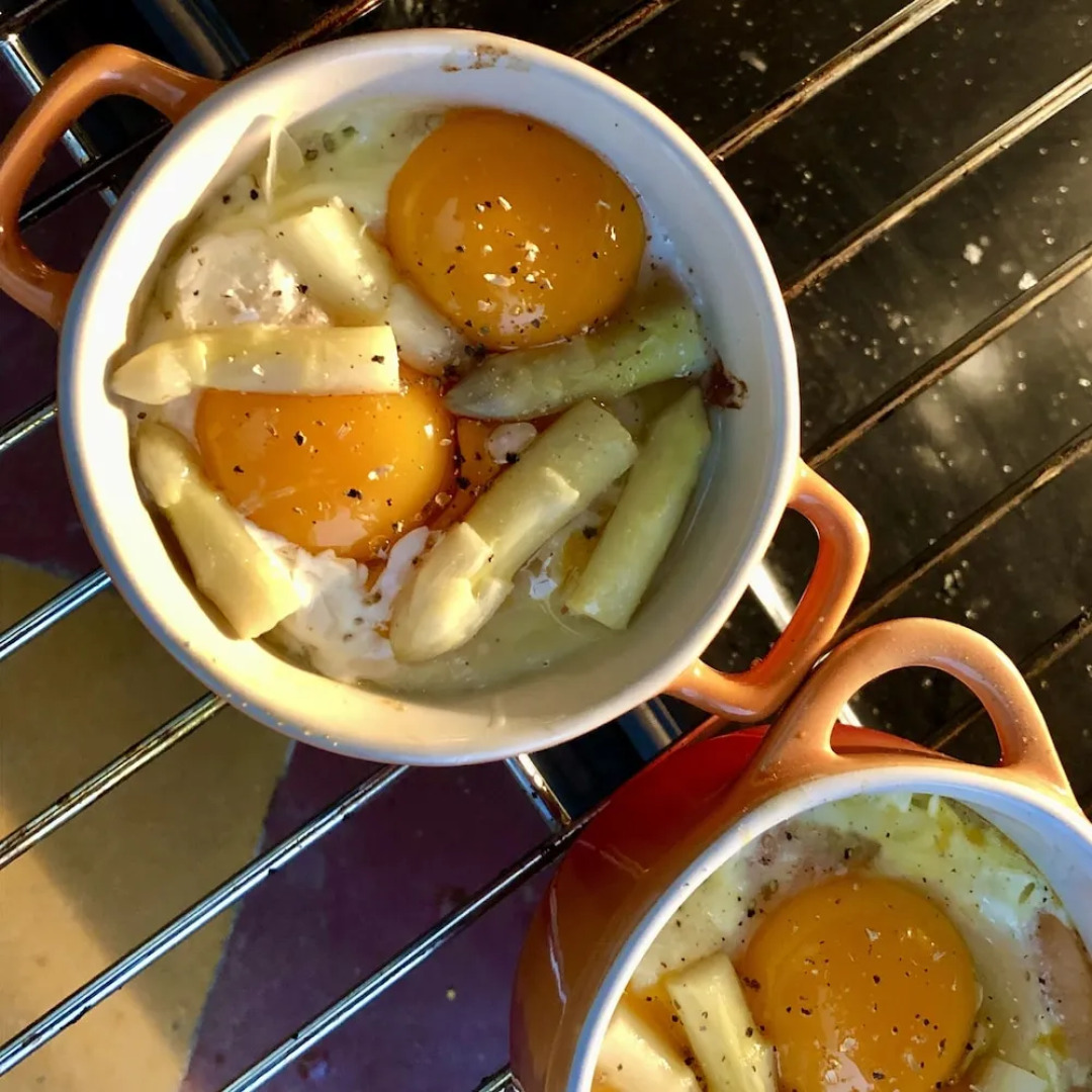Maison et table d'hôtes le Camélia Blanc