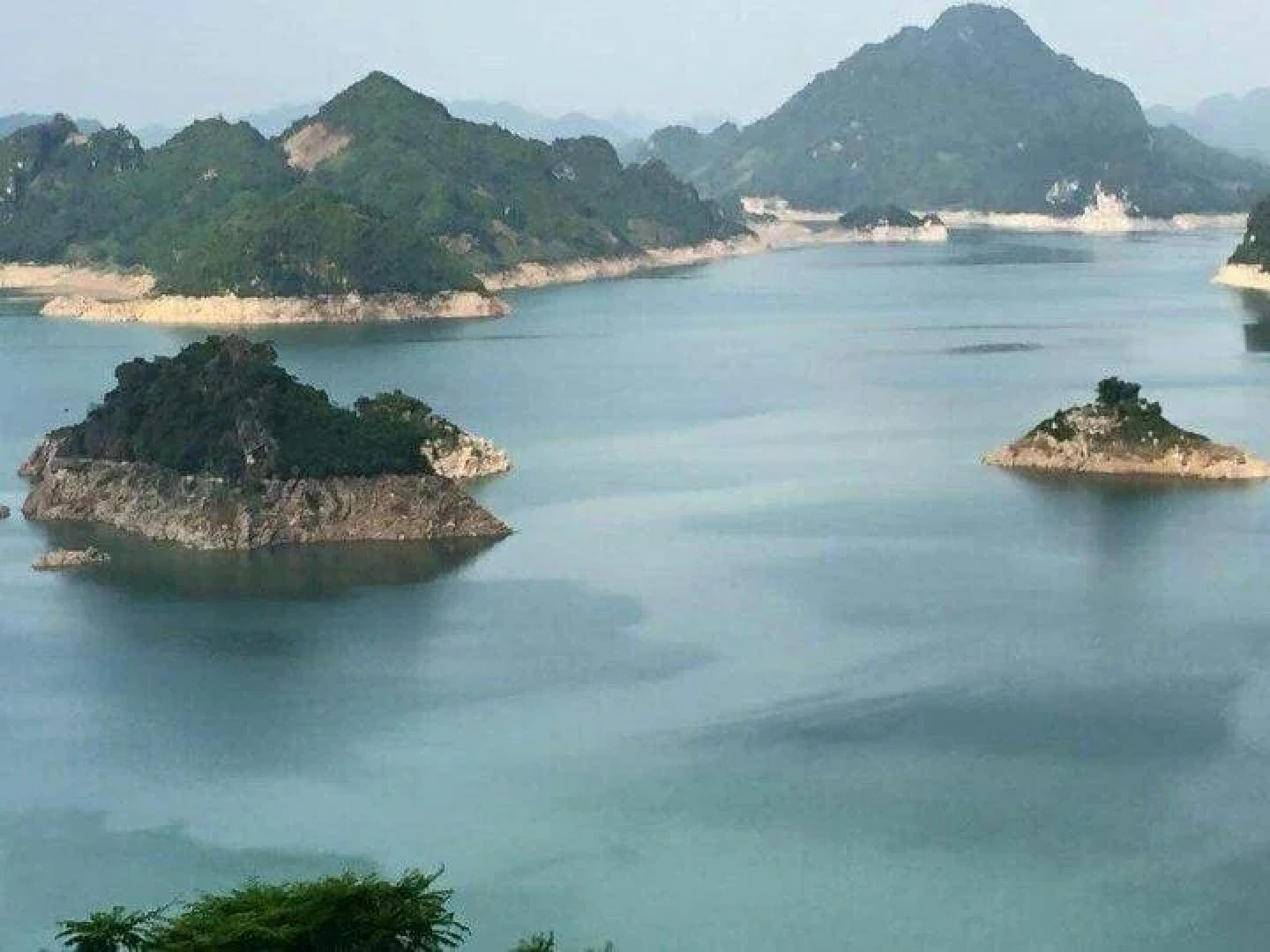 Eco Homestay - Hostel