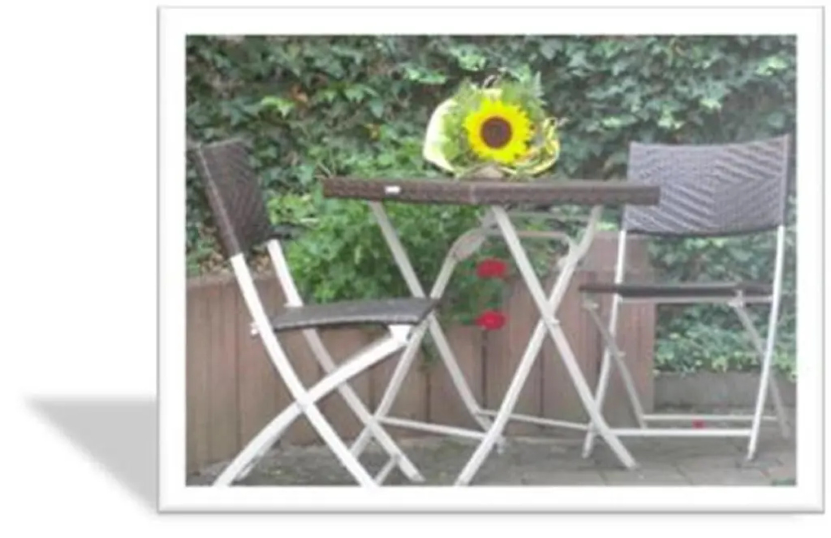 Ferienwohnung Witzig Inh Rita Weitmann