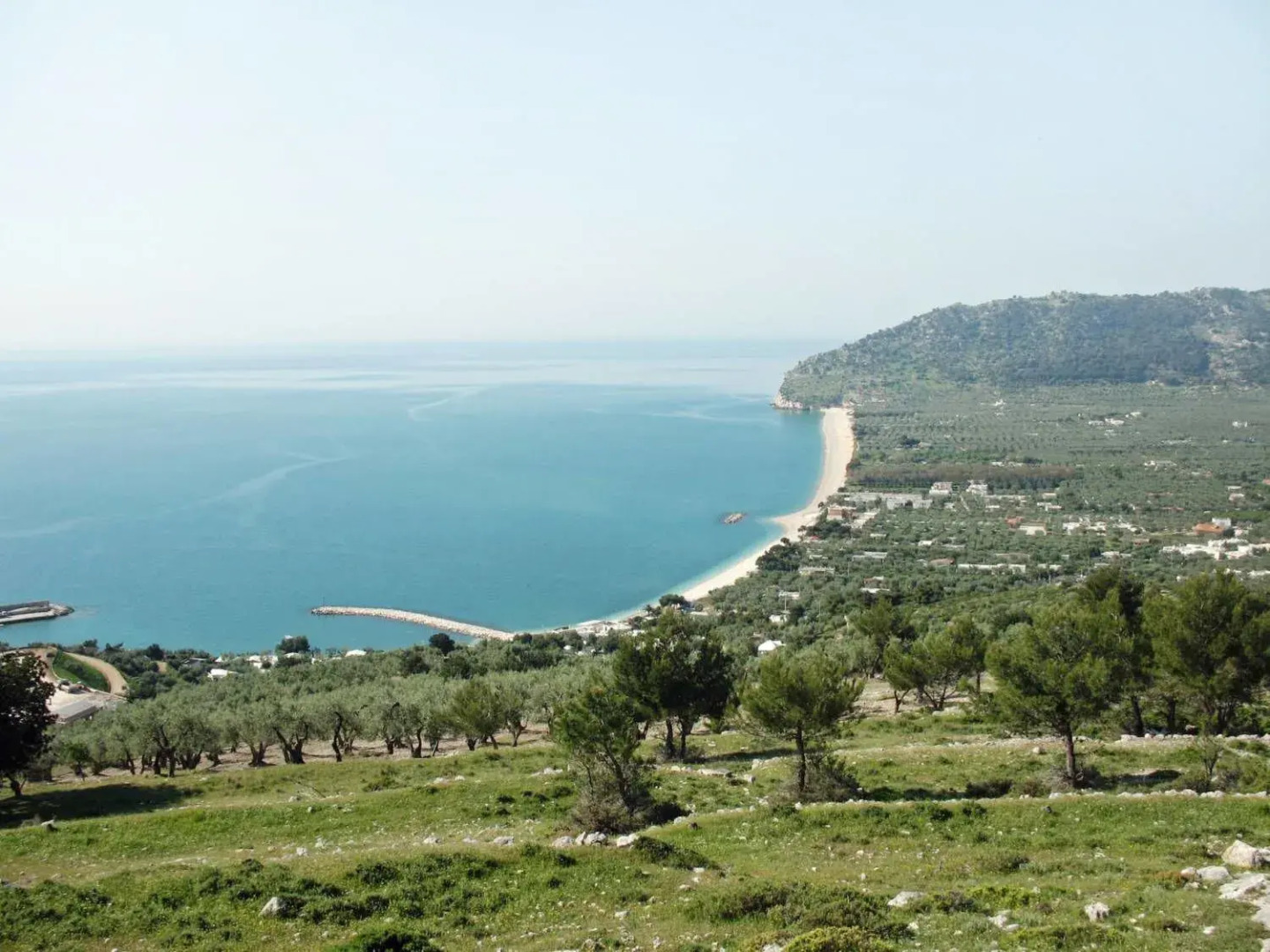 B&B Barone Gambadoro