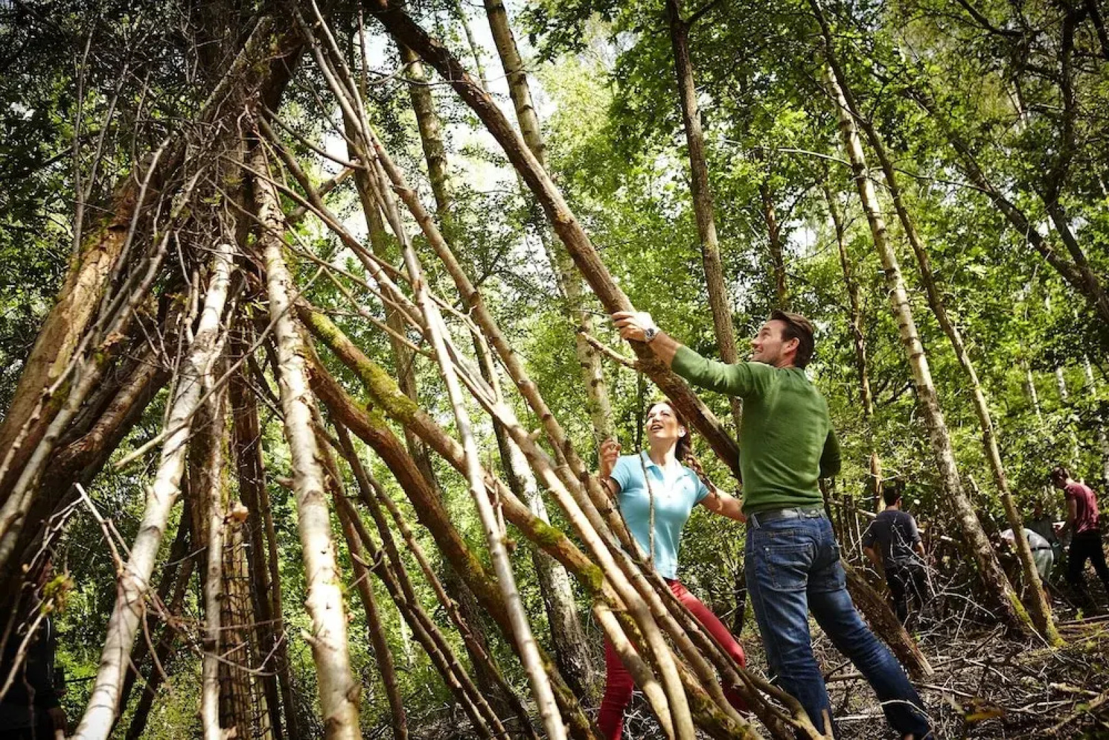 Forest Holidays Blackwood Forest