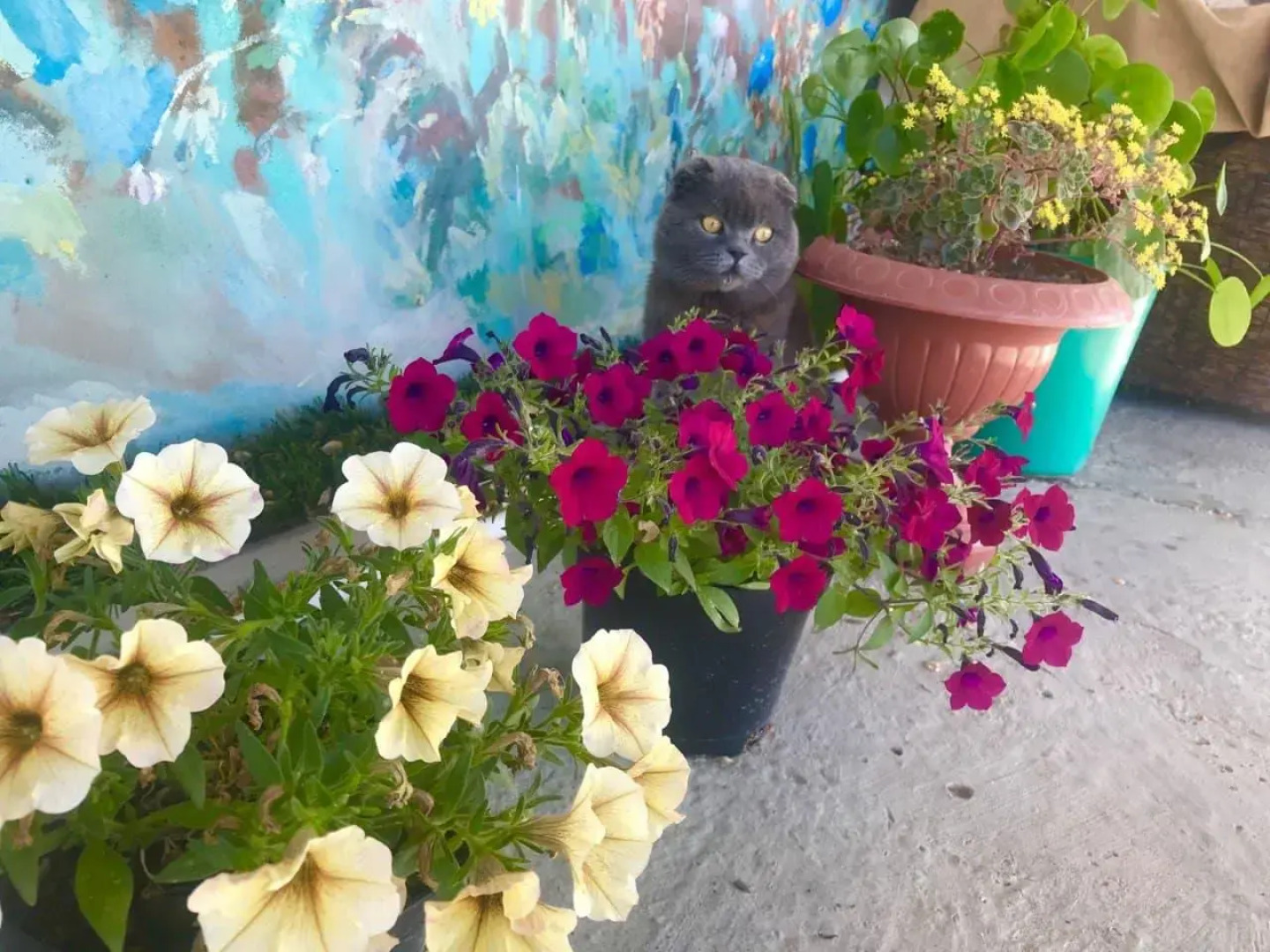 Родное гнездо