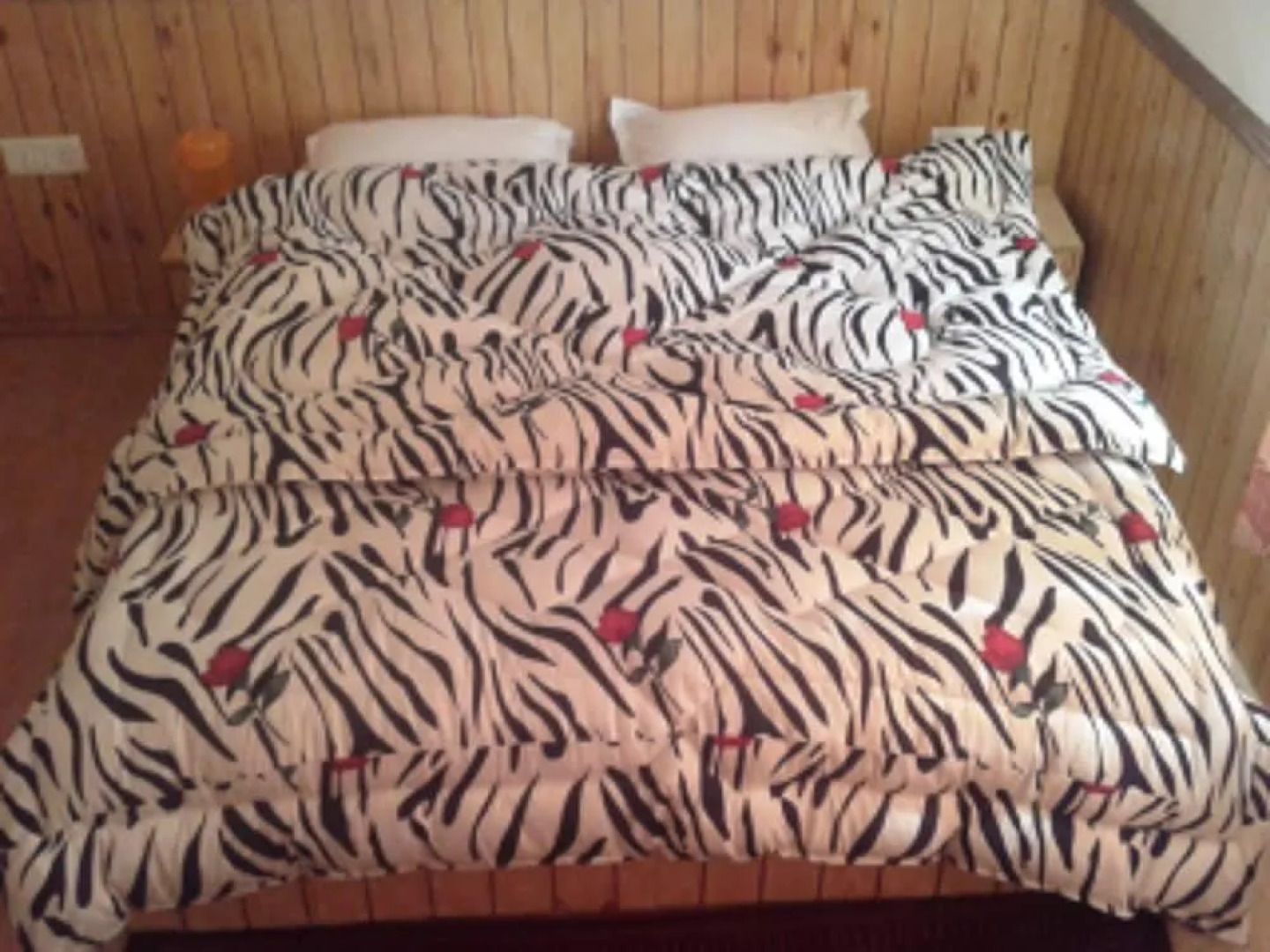 Ladakh View Home Stay