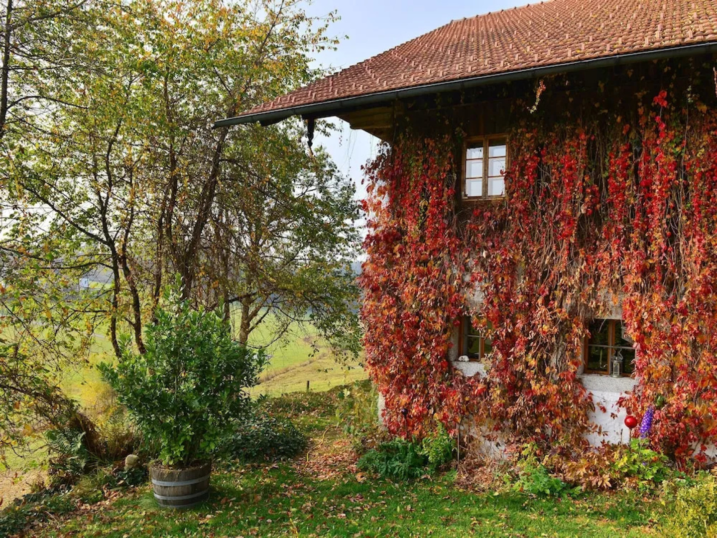 Traditional Apartment in Altreichenau near Forest