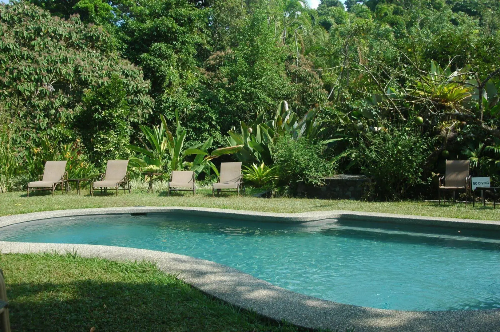 Tiskita Jungle Lodge