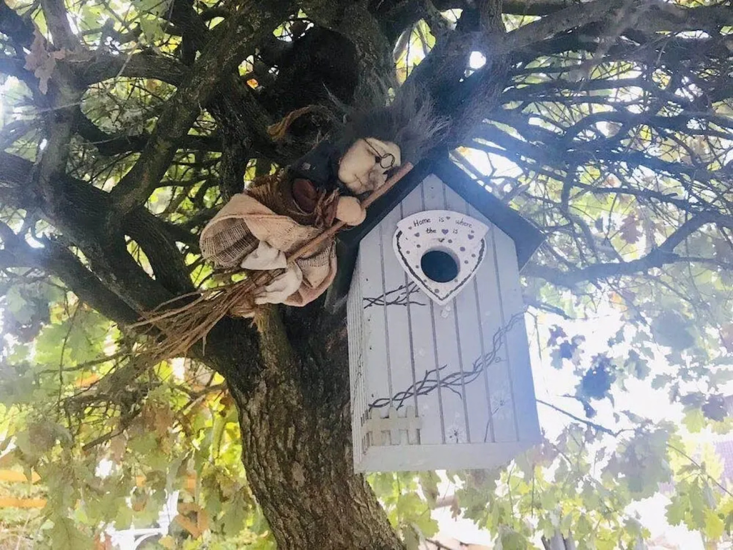 Chambres D'hôtes Aux Deux Cigognes