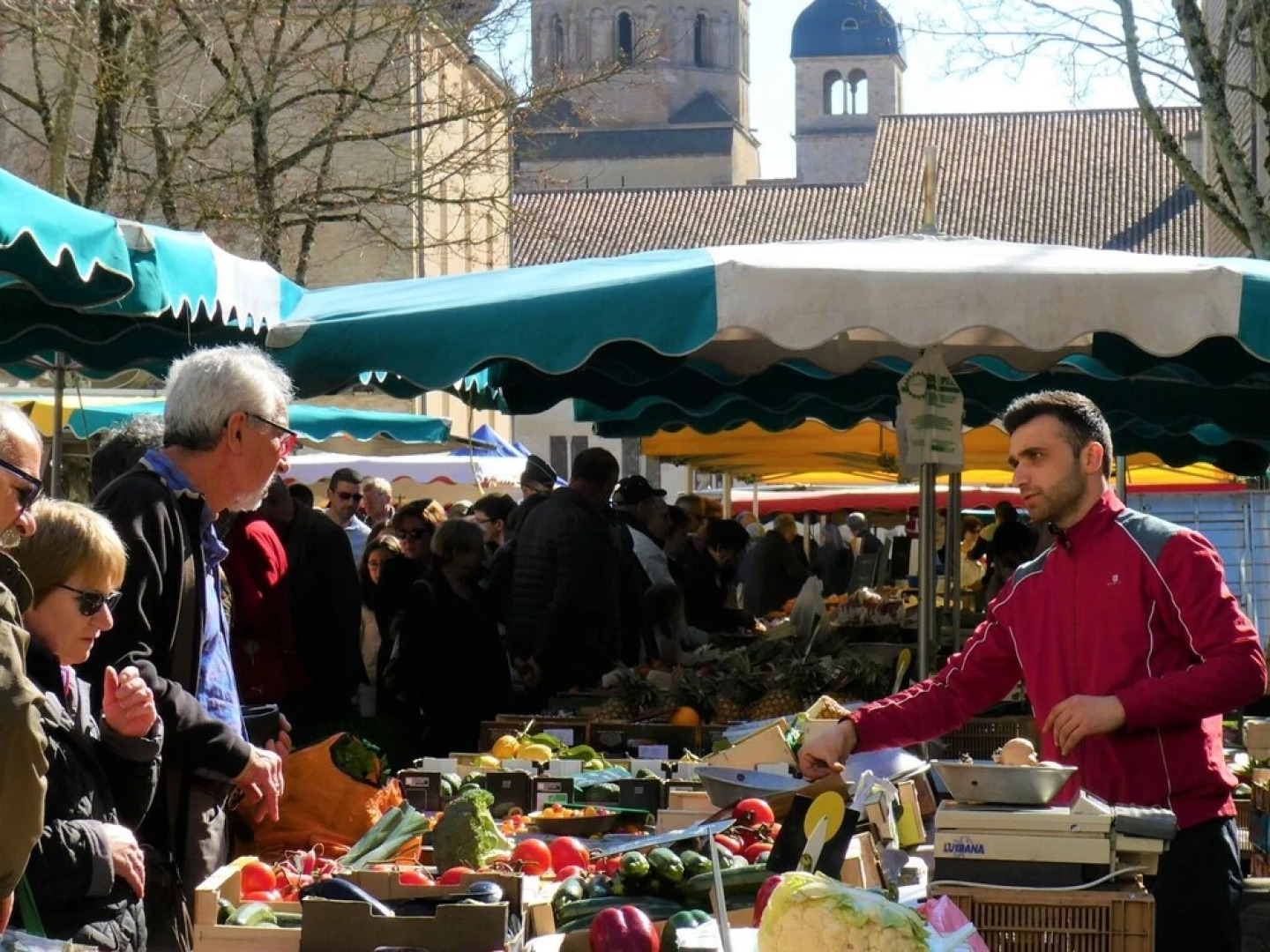 Cozy Holiday Home in Joncy with Valley View