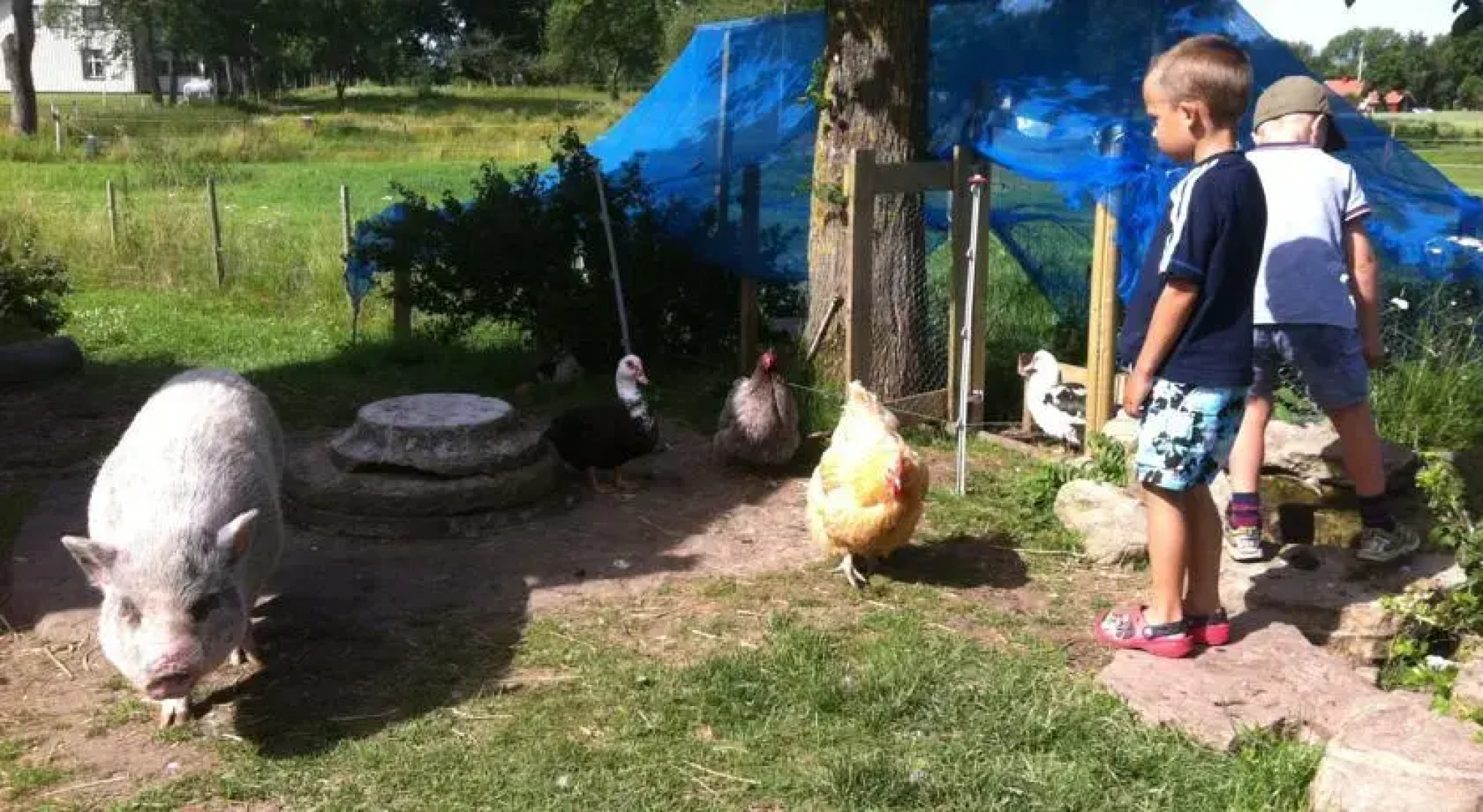 Äventyrsgårdens Vandrarhem, Kinnekulle