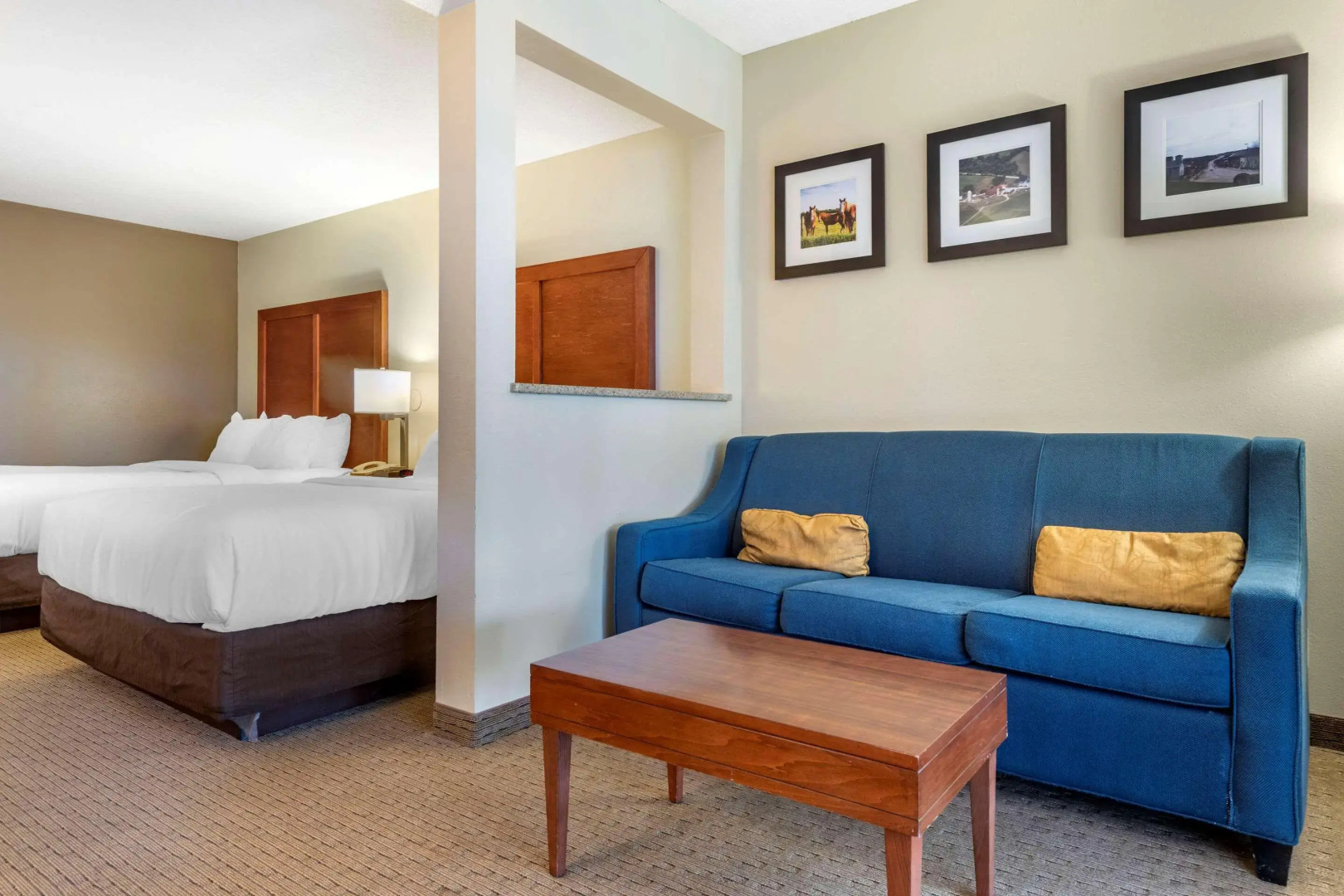 Comfort Inn & Suites