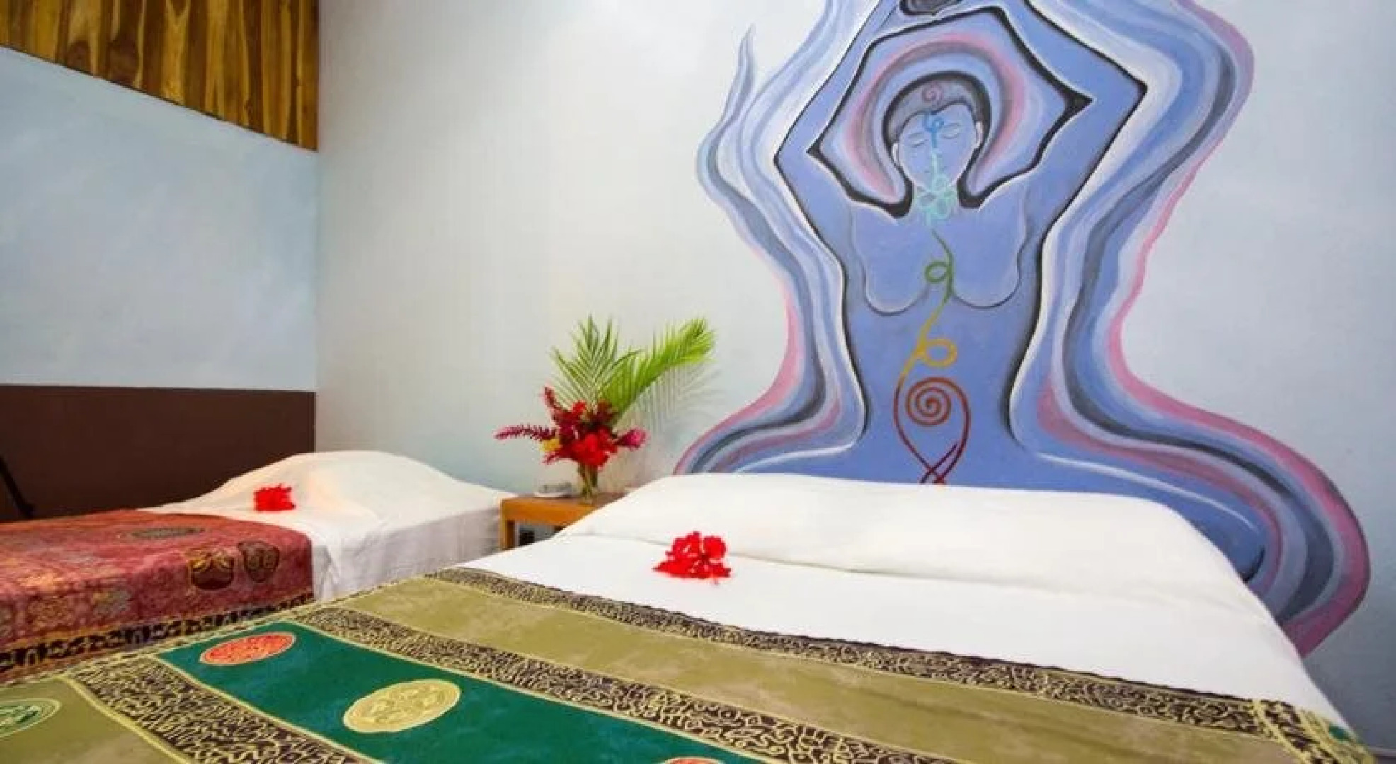 The Buena Vibra Collective