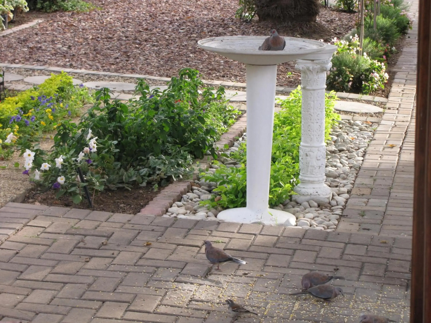 Montagu Four Seasons