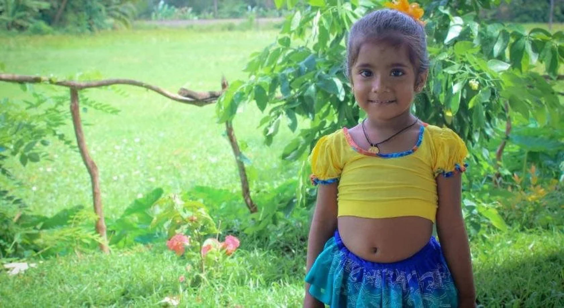 Paddy Field View Resort