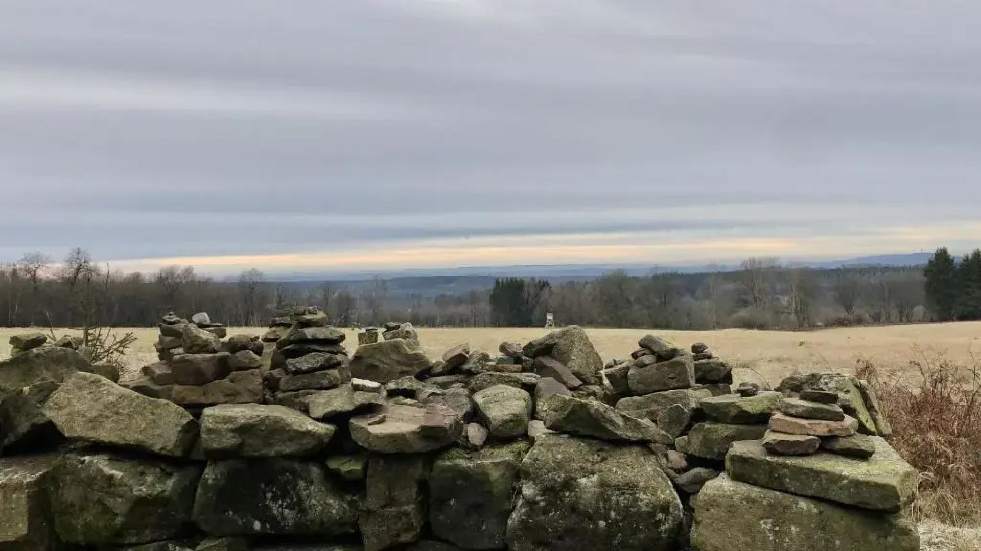 Landhaus Sollingshöhe UG