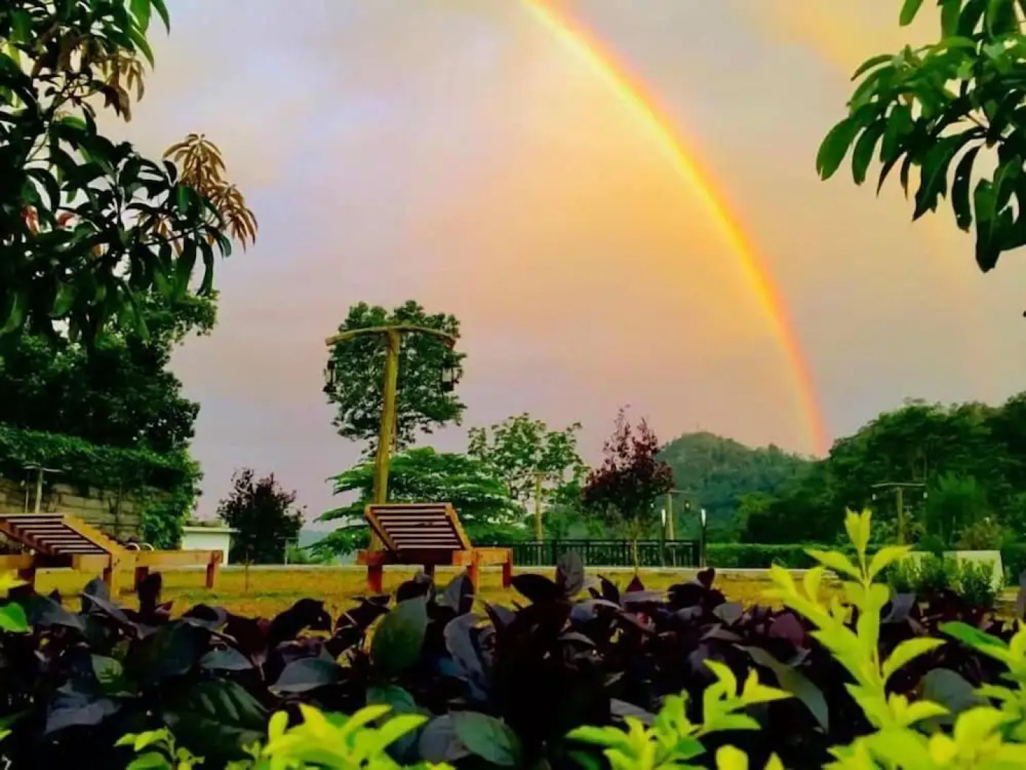 Tea Garden Eco Villas