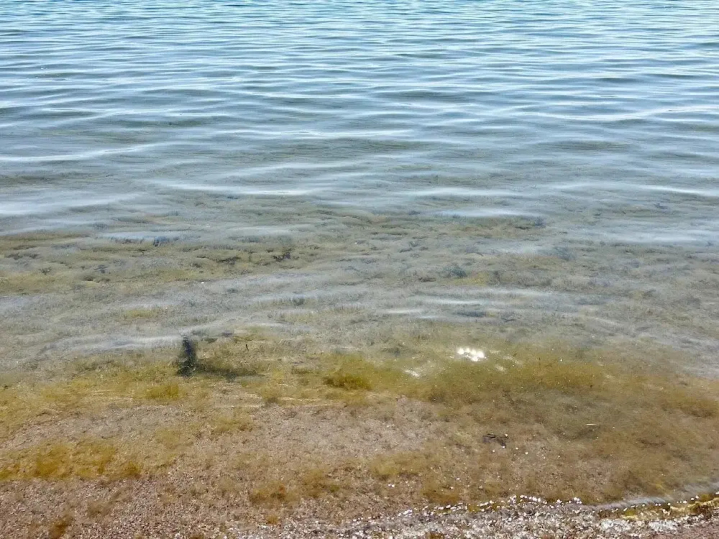 8 Person Holiday Home in Ingaro