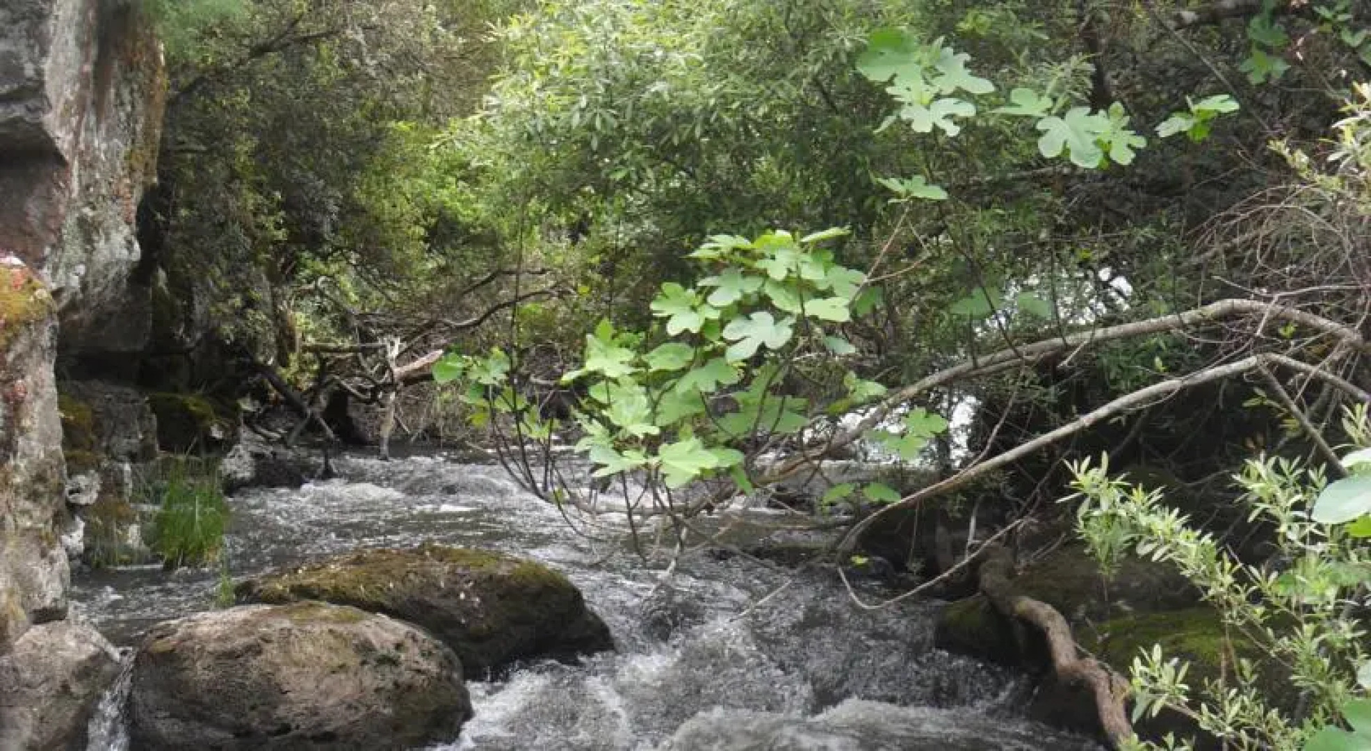 B&B Il Borgo di Antonello Flore