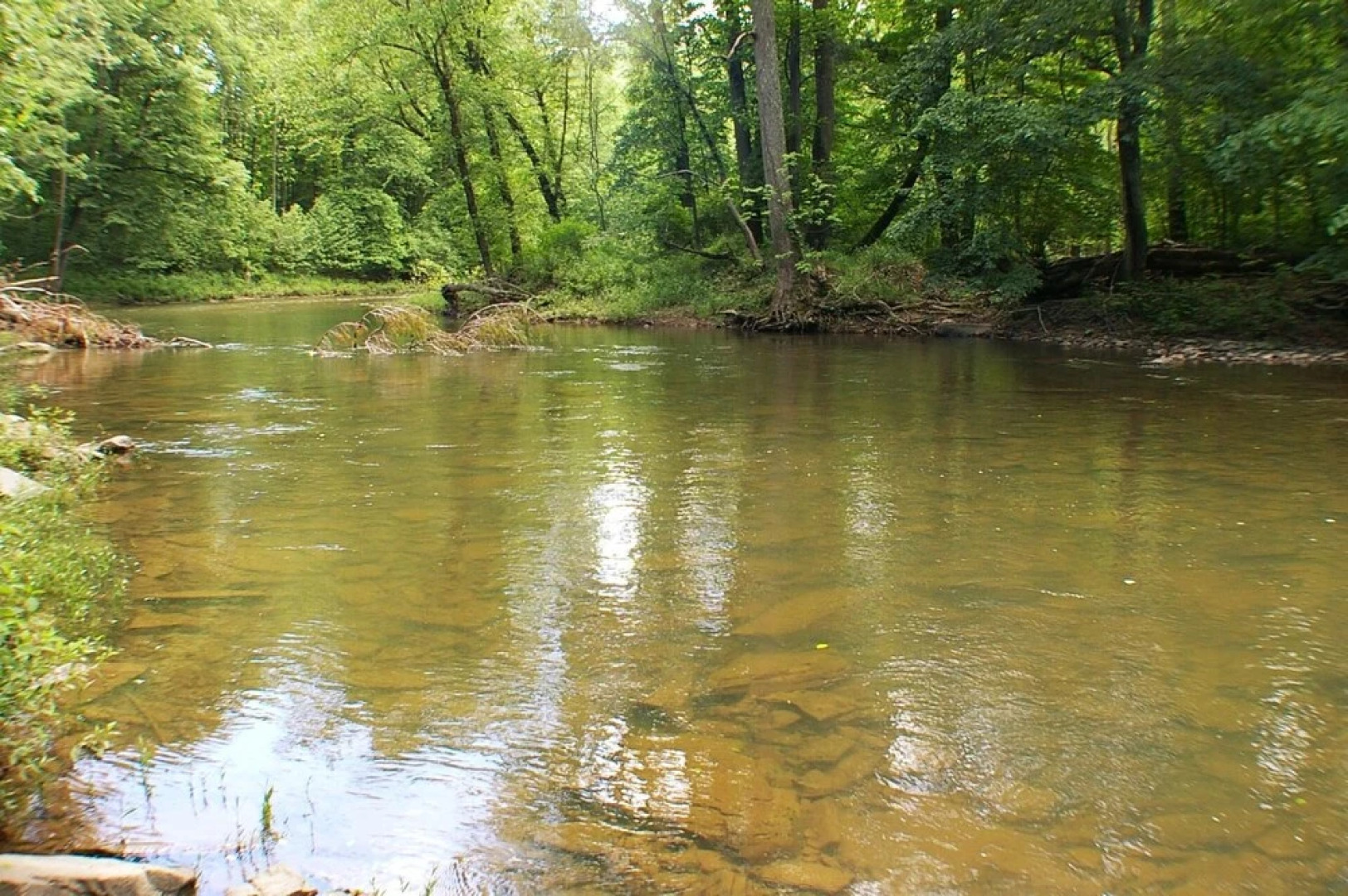 Cabin at Sleepy Creek - Charming Cabin