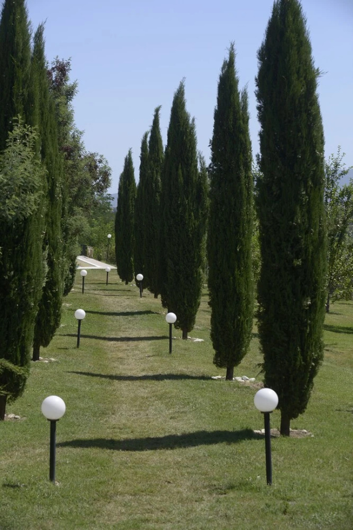 Bio Agriturismo Valle dei Calanchi