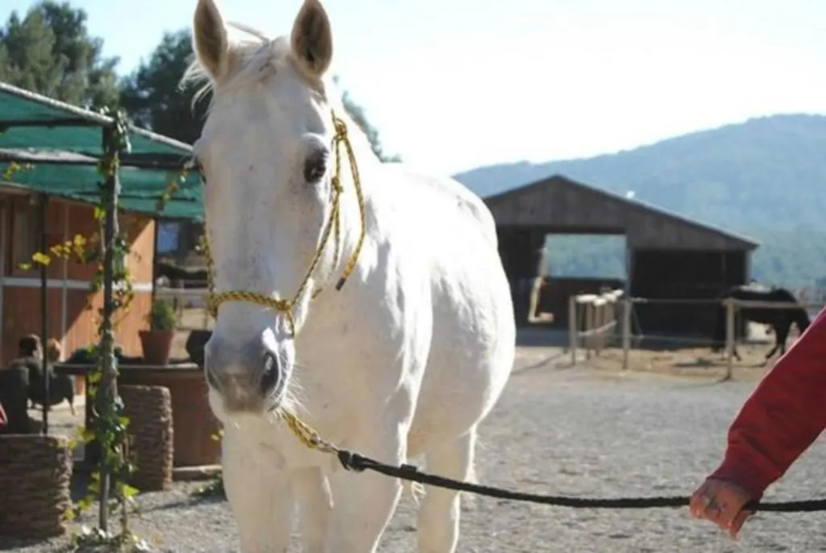Villa Mar & Natura Sitges