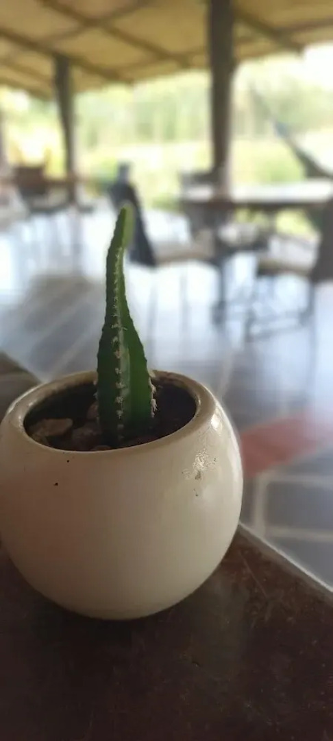 Hotel Brisas la Gaviota Mariquita-Tolima