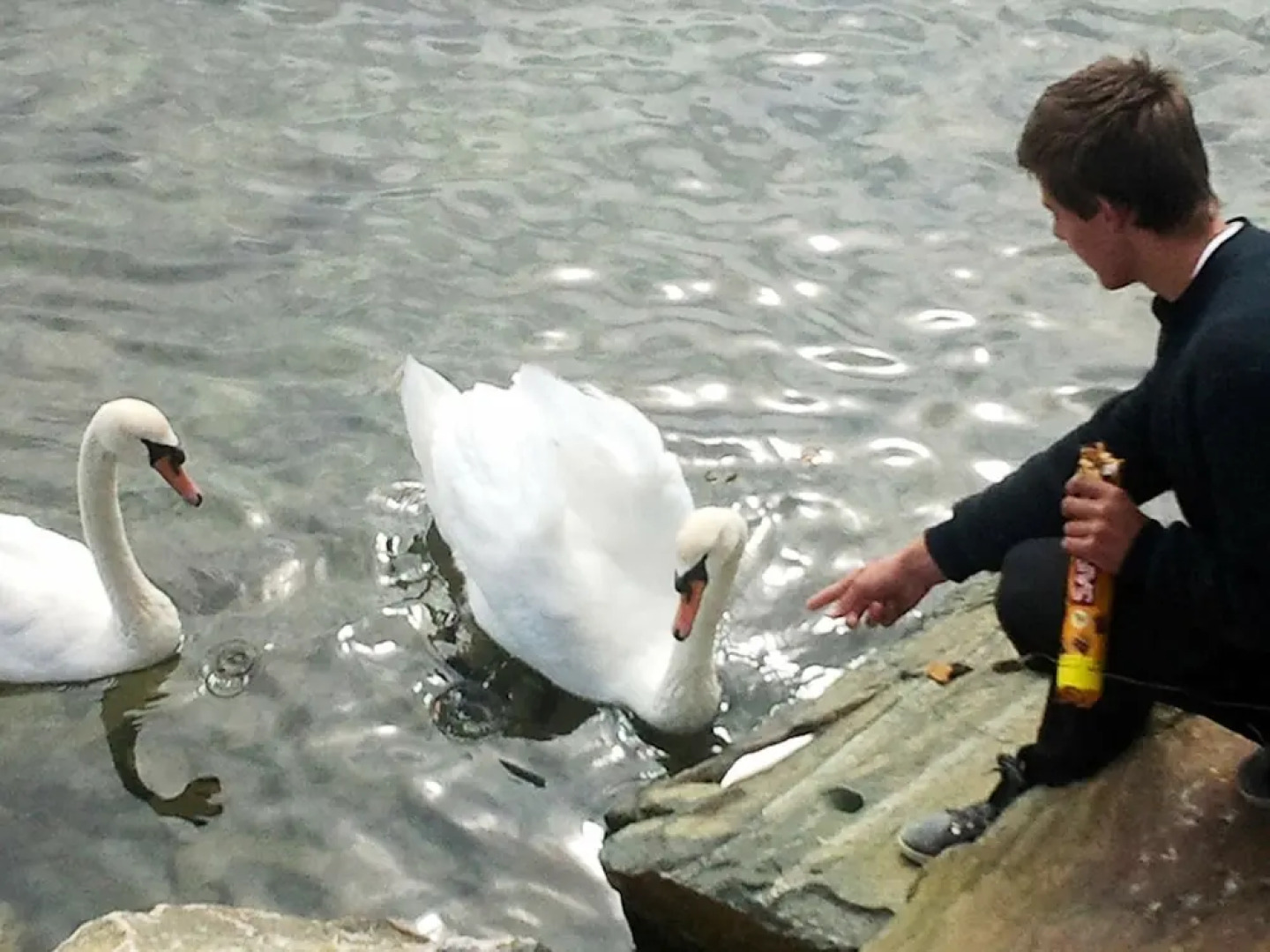 4 Star Holiday Home in Averøy