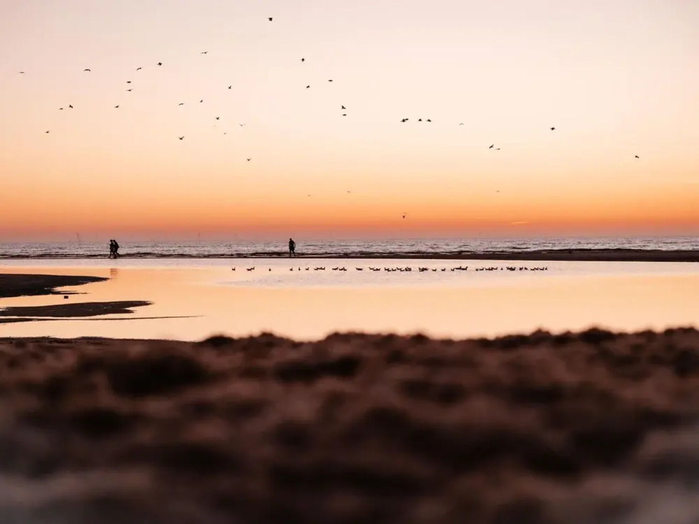 Comfortable Villa With Three Bathrooms, Near Rockanje