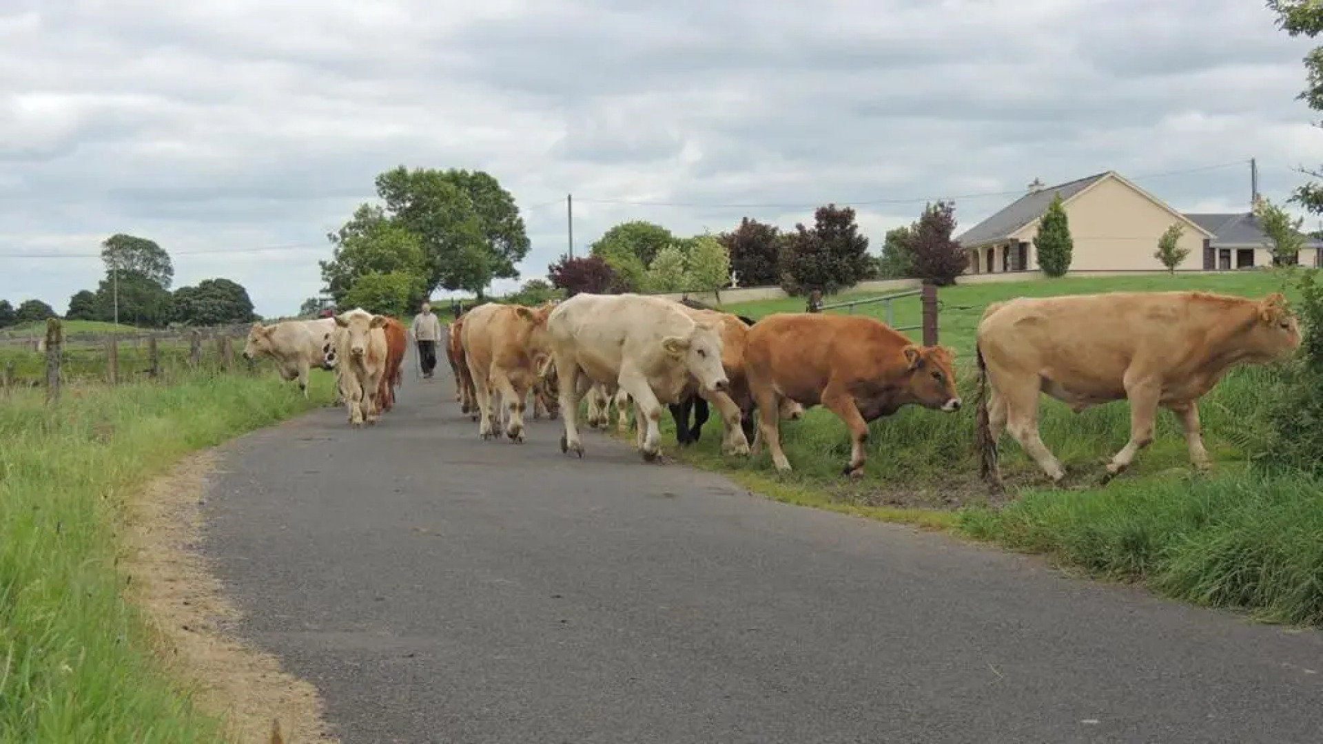 Green Acres Self Catering