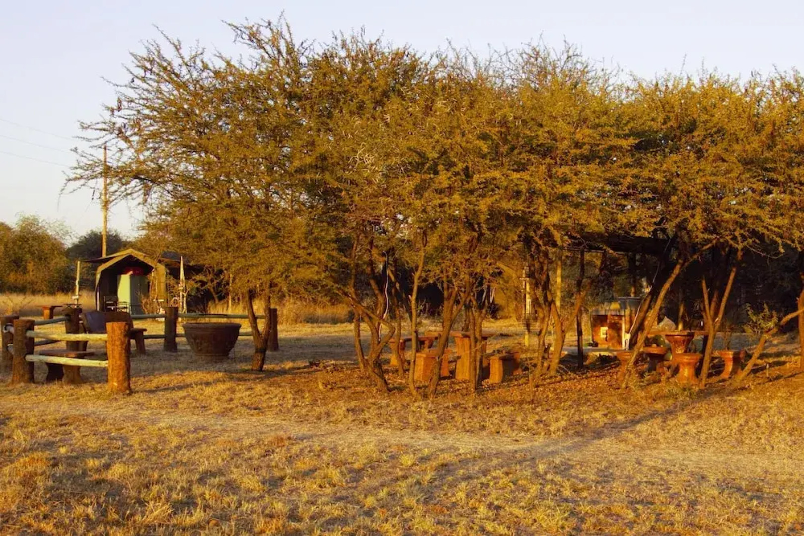 Thorn Tree Bush Camp