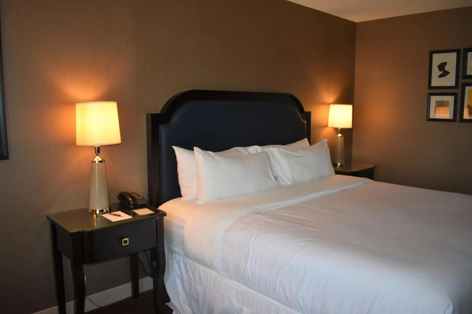 Sheraton Lisle Naperville Hotel