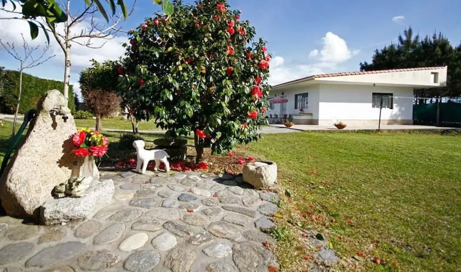 Apartment in Monte Lagoa de Louro 102056 by MO Rentals