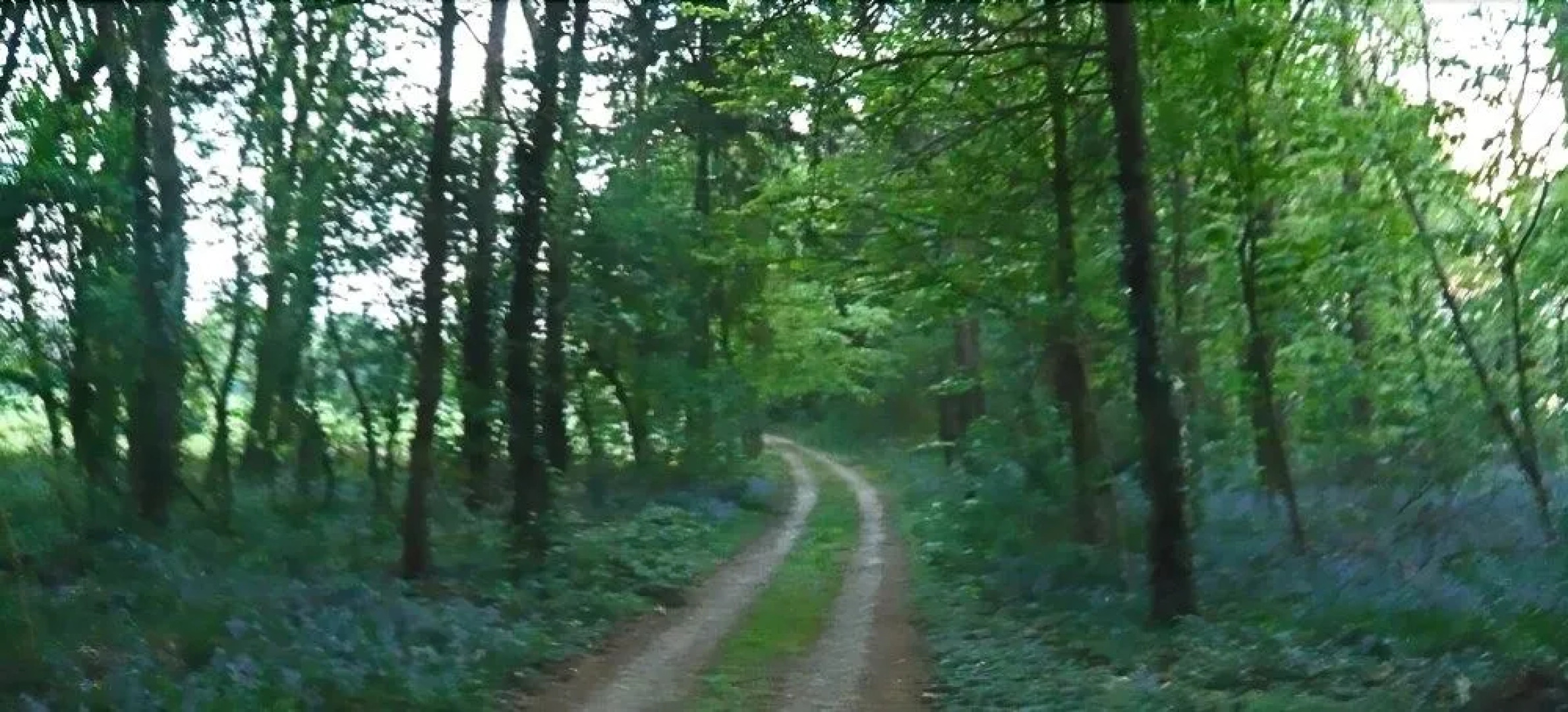 Chambres dHôtes de Manoir de Captot
