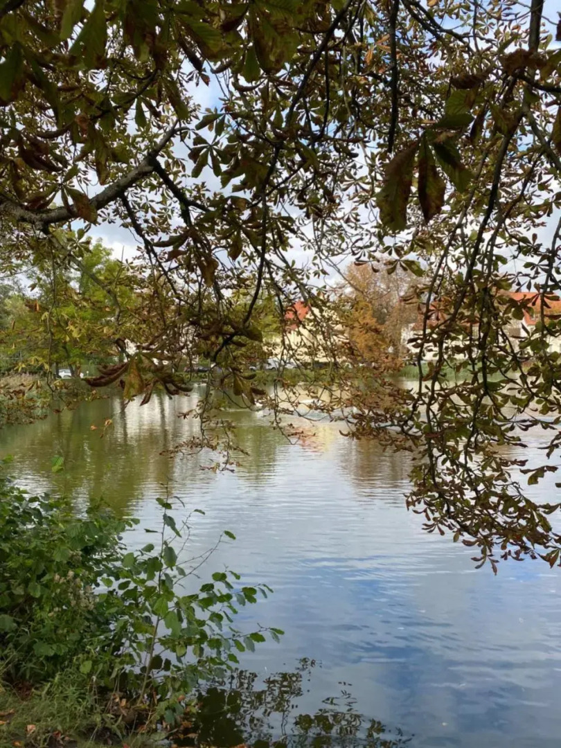 Simply Good Appartment