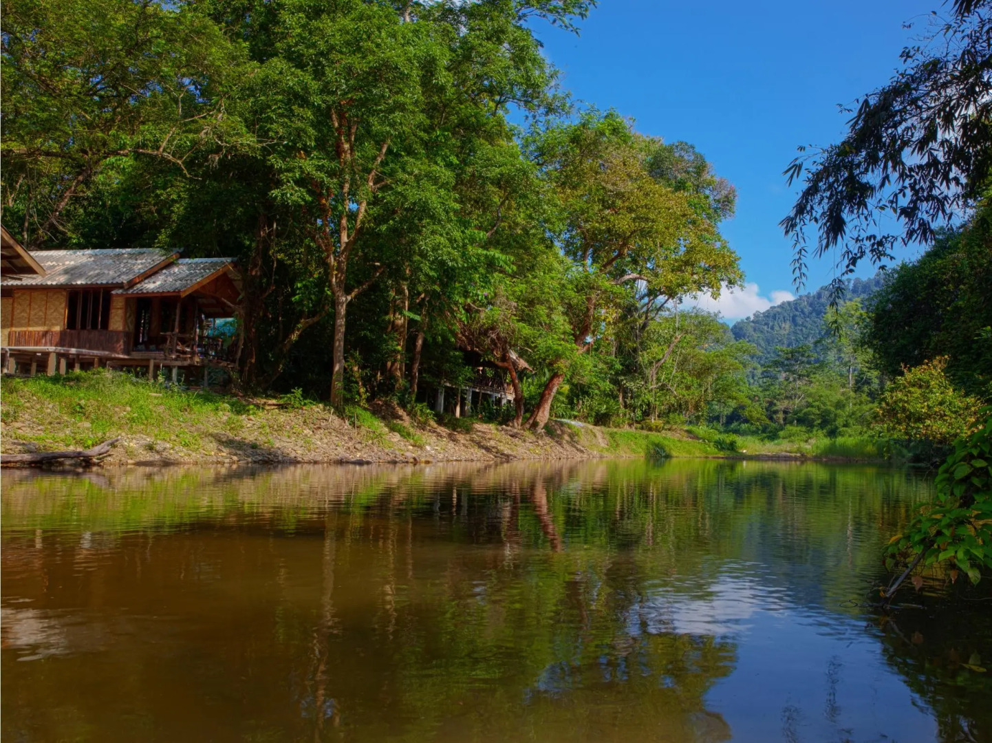 Khao Sok Riverside Cottage