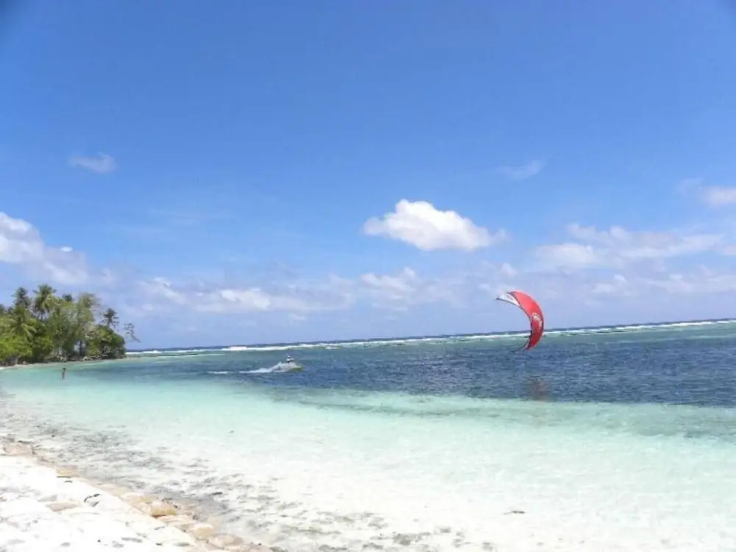 Pacific Treelodge Resort