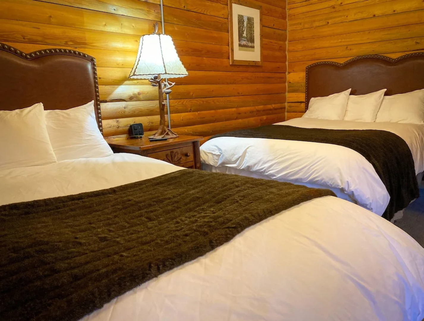 Denali Crow's Nest Cabins