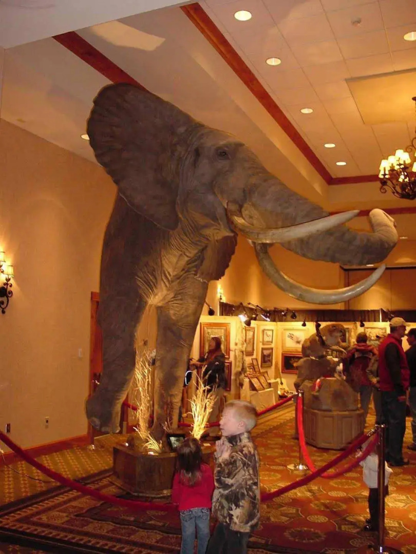 Hilton Garden Inn Missoula