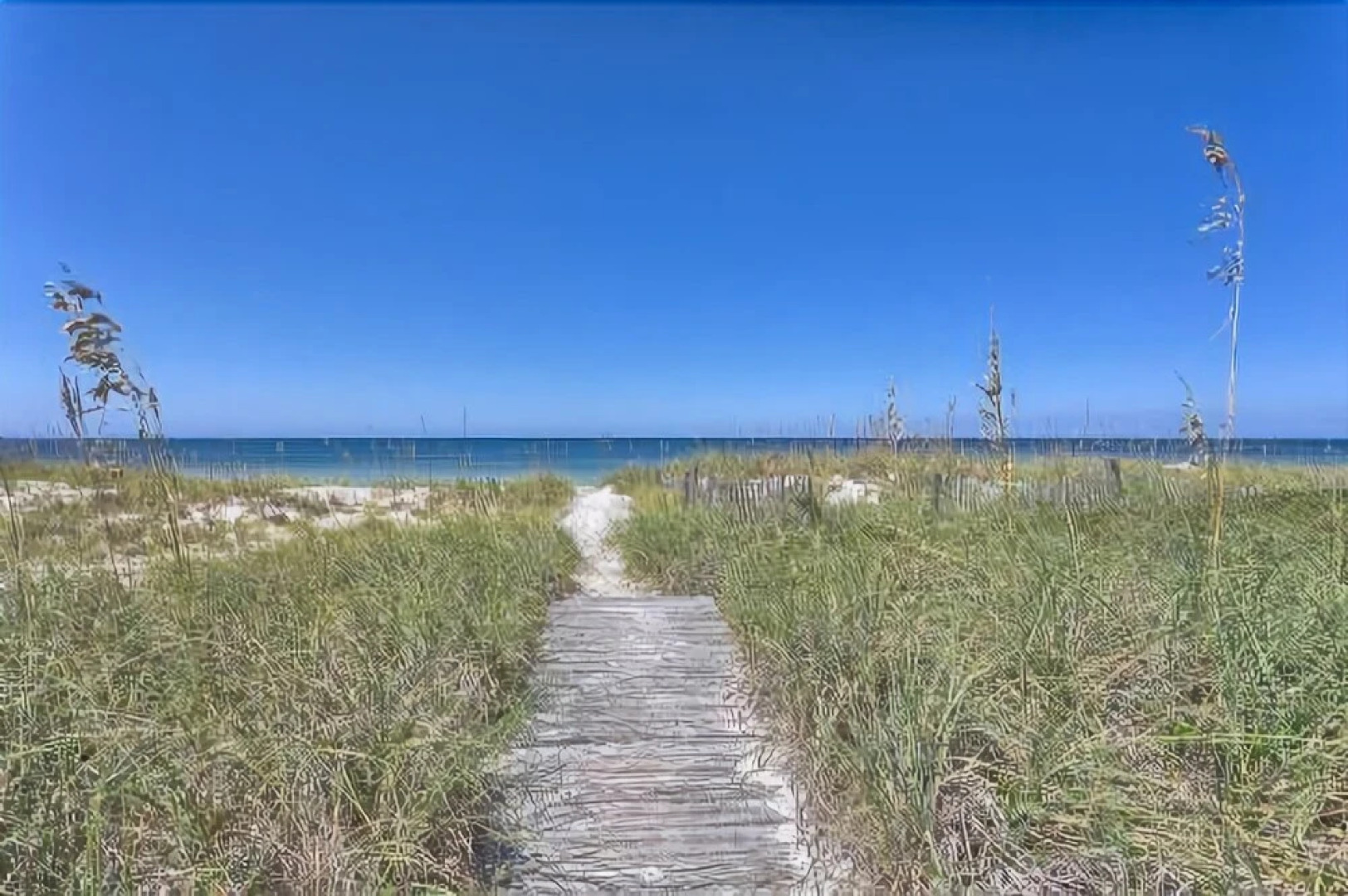 A Rendezvous, No Pets Allowed