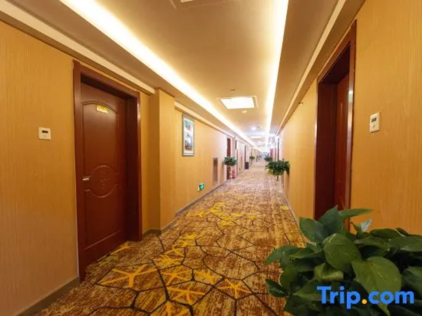 Ruoqiang holiday inn