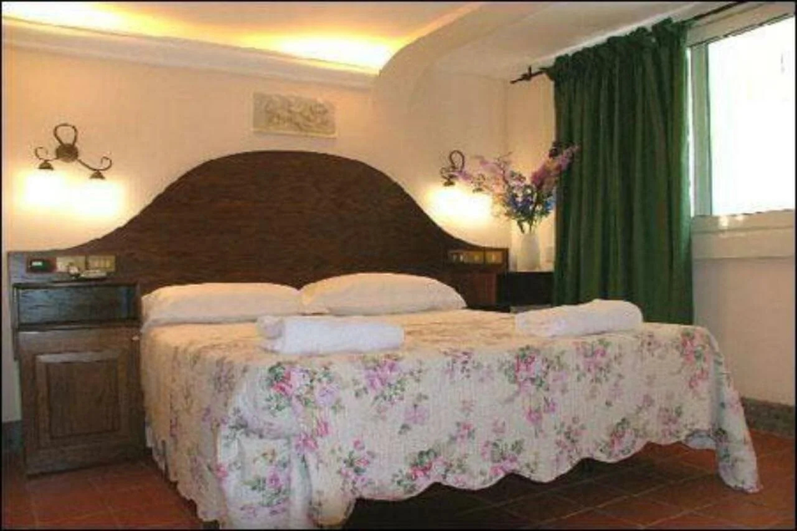 Hotel Okapi