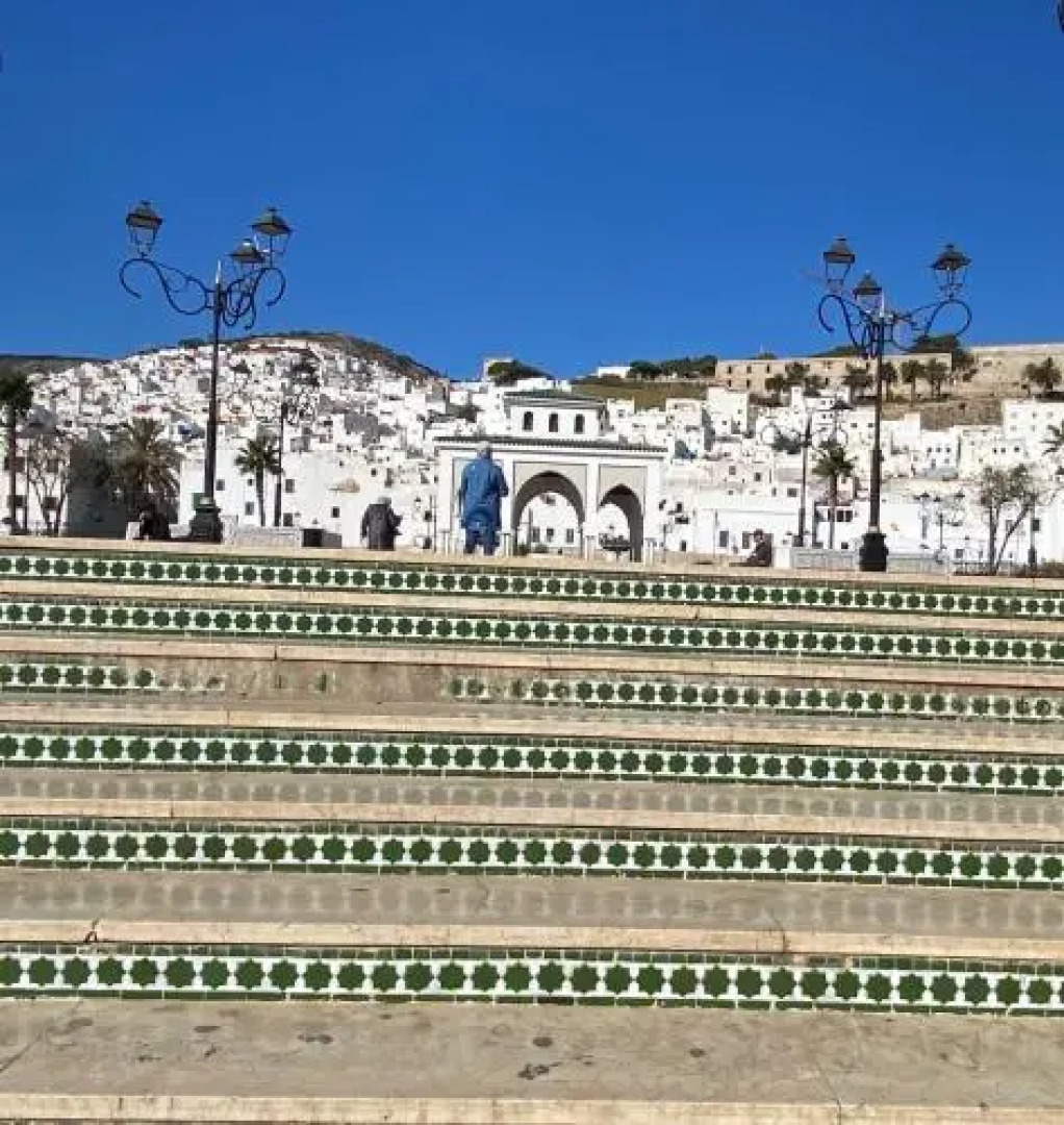 Lilac's Garden Cabo Negro