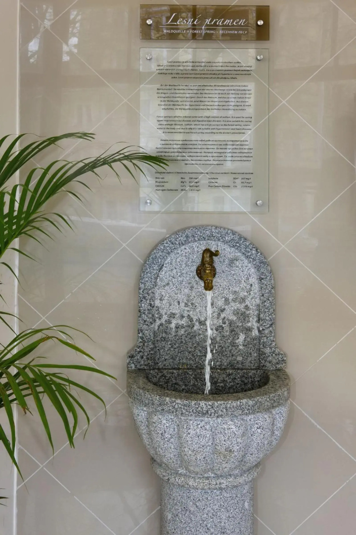 Spa Hotel Svoboda