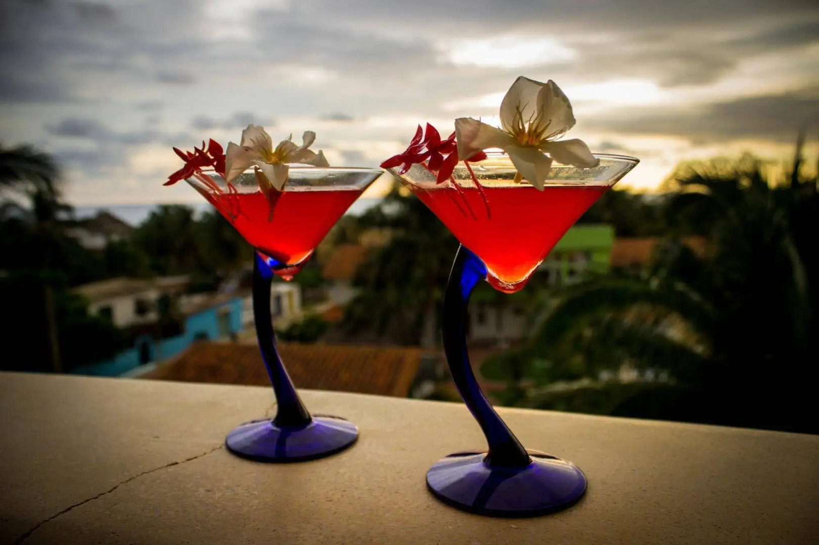 Suites & Hotel Punta Esmeralda