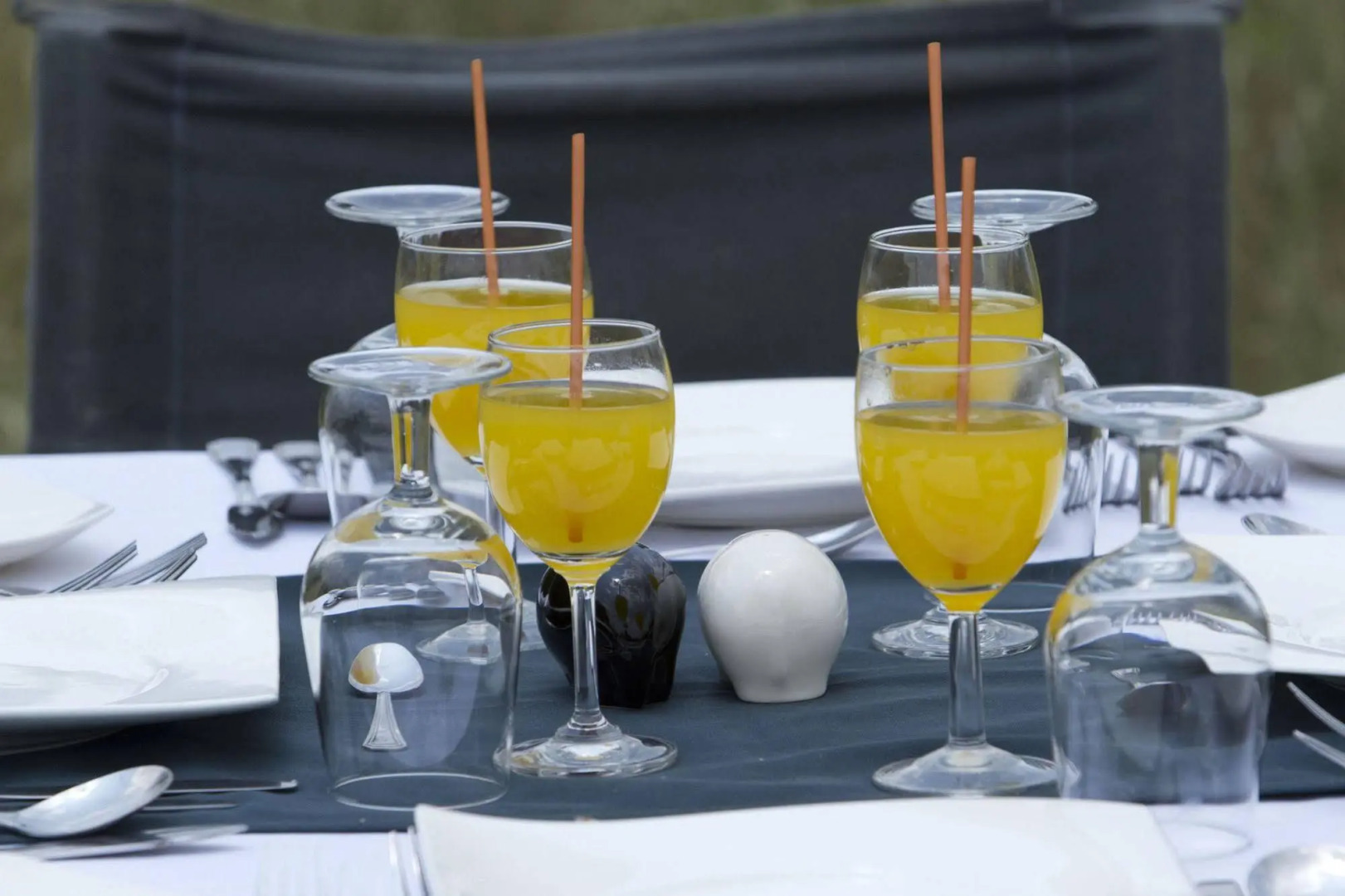 Mahoora - Wilpattu by Eco Team